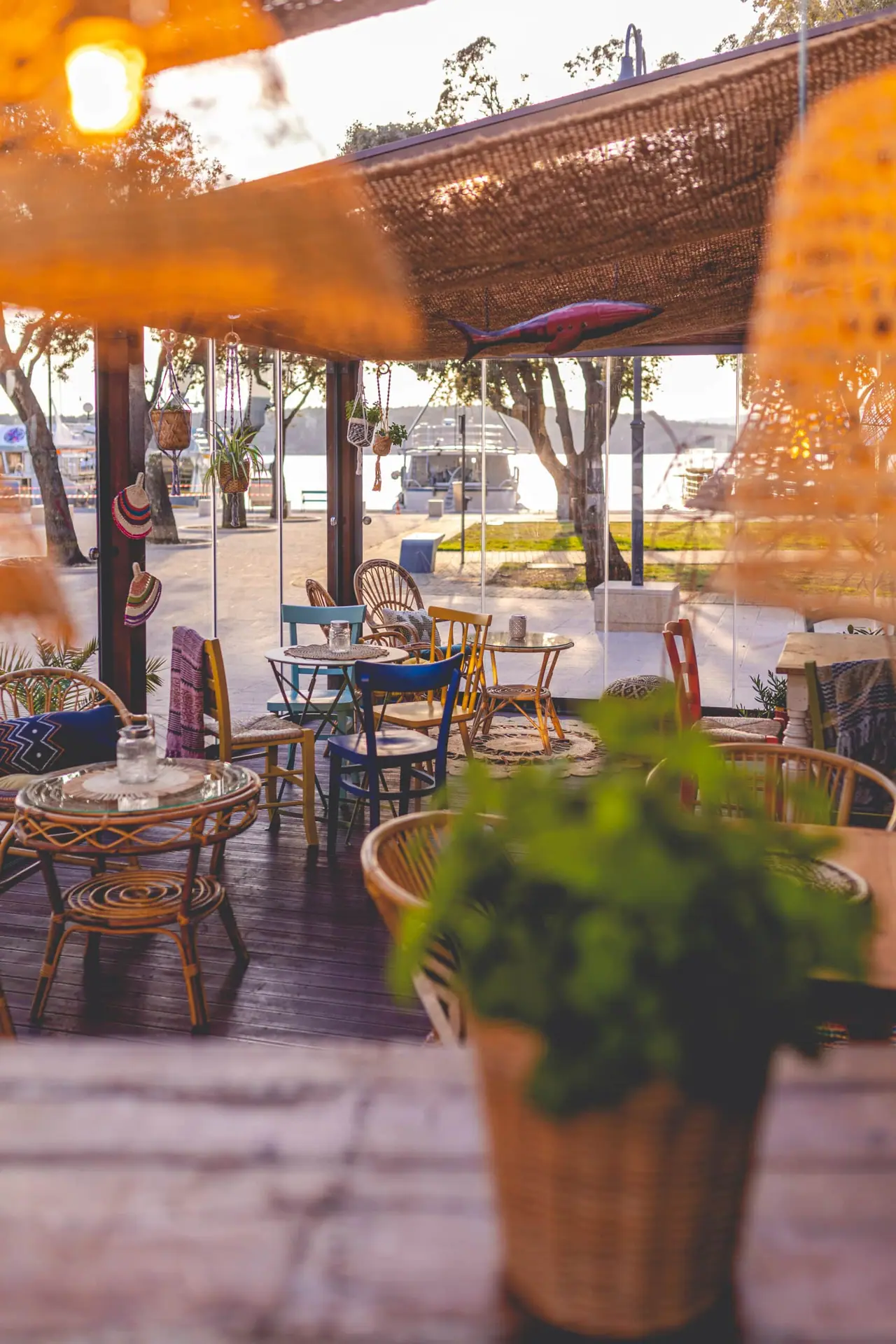 A potted plant beside the terrace chairs with the harbour out of focus behind